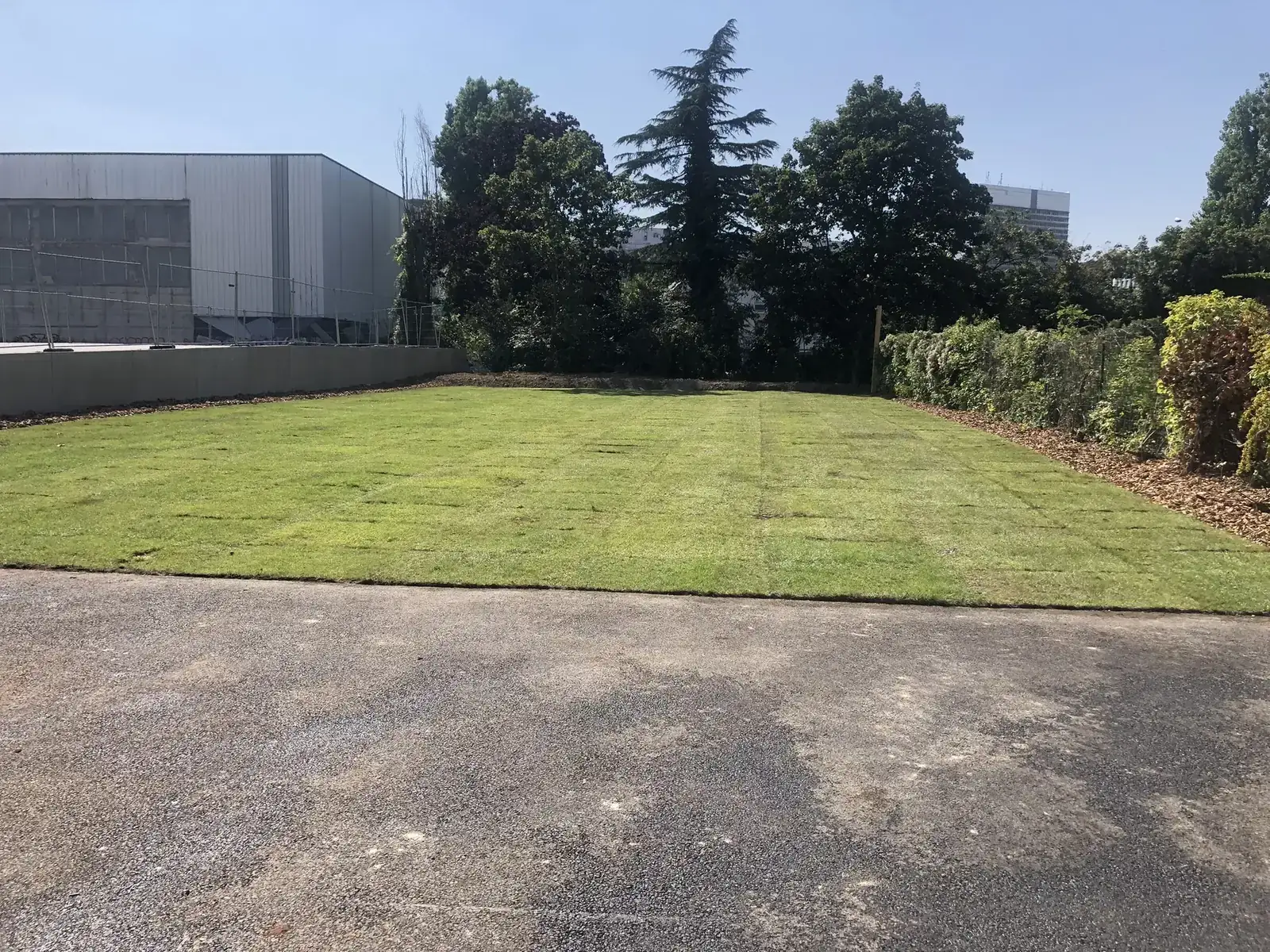 Finalisation · Pelouse livrée après chantier · Saint-Cloud (92210) - MFT Travaux Publics